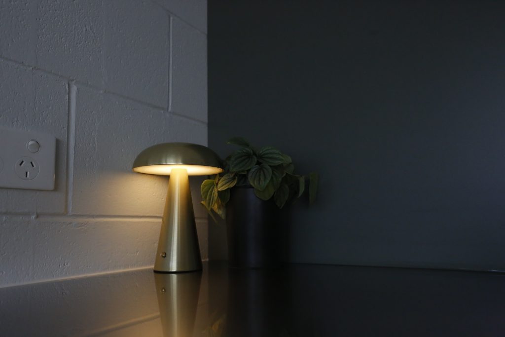 Dark green modern kitchen with stainless steel benchtop in Auckland New Zealand