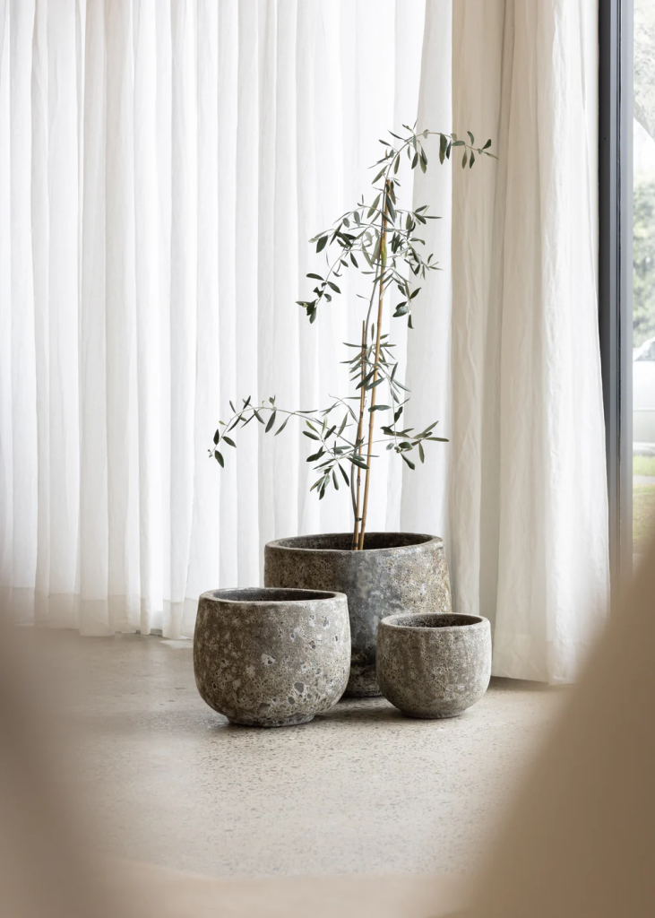 Texture concrete plant pot