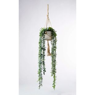 White hanging plant pot